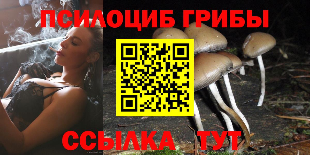 Галлюциногенные грибы Psilocybine cubensis Зима