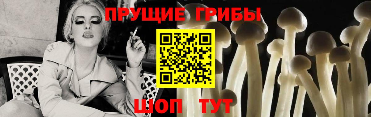 Галлюциногенные грибы GOLDEN TEACHER  Вход с VPN  Зима 